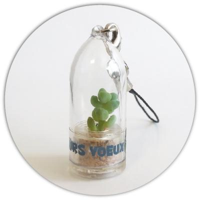 babyplante cactus mini plante grasse personnalisée par étiquette, un objet publicitaire écologique