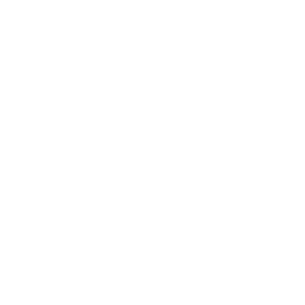 cactus en pot, mini cactus, plantation