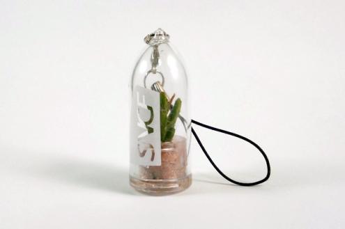 Personnalisation de nos portes clés babyplante. Originaux et écologiques, ils abritent une véritable petite mini plante